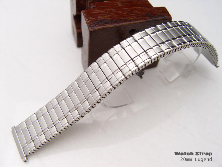 20mm Elastic Band Stainless Steel Watch Band Watch Bracelet